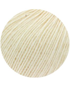 <span class="yarn-title">Ecopuno</span> <span class="yarn-color">46 Ecru</span>