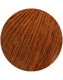 <span class="yarn-title">Ecopuno</span> <span class="yarn-color">49 Zimtbraun</span>