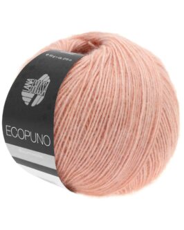 <span class="yarn-title">Ecopuno</span> <span class="yarn-color">7 Pfirsich</span>