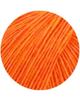 <span class="yarn-title">Ecopuno</span> <span class="yarn-color">89 Leuchtendorange</span>