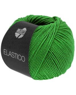 <span class="yarn-title">Elastico</span> <span class="yarn-color">189 Maigrün</span>