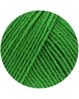 <span class="yarn-title">Elastico</span> <span class="yarn-color">189 Maigrün</span>