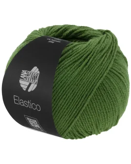 <span class="yarn-title">Elastico</span> <span class="yarn-color">192 Blattgrün</span>