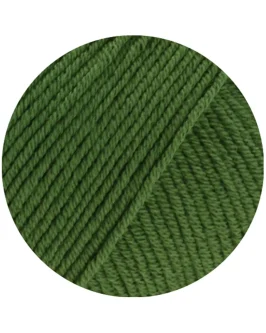 <span class="yarn-title">Elastico</span> <span class="yarn-color">192 Blattgrün</span>