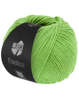 <span class="yarn-title">Elastico</span> <span class="yarn-color">193 Frühlingsgrün</span>