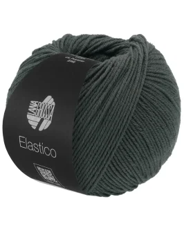 <span class="yarn-title">Elastico</span> <span class="yarn-color">194 Graphitgrau</span>