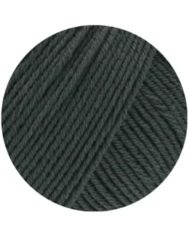 <span class="yarn-title">Elastico</span> <span class="yarn-color">194 Graphitgrau</span>