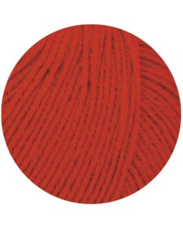 <span class="yarn-title">Elastico</span> <span class="yarn-color">23 Dunkelrot</span>