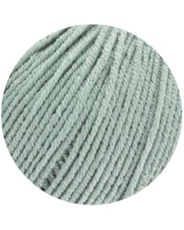 <span class="yarn-title">Elastico</span> <span class="yarn-color">120 Graugrün</span>