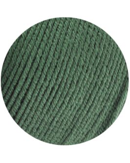 <span class="yarn-title">Elastico</span> <span class="yarn-color">141 Resedagrün</span>