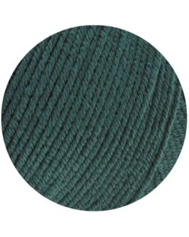 <span class="yarn-title">Elastico</span> <span class="yarn-color">147 Dunkelgrün</span>