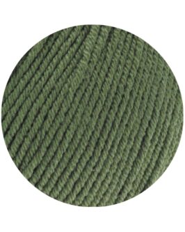 <span class="yarn-title">Elastico</span> <span class="yarn-color">156 Oleandergrün</span>