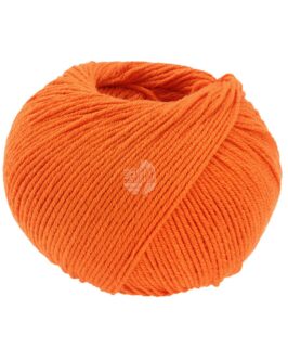 <span class="yarn-title">Elastico</span> <span class="yarn-color">169 Orange</span>