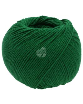 <span class="yarn-title">Elastico</span> <span class="yarn-color">174 Flaschengrün</span>