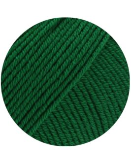 <span class="yarn-title">Elastico</span> <span class="yarn-color">174 Flaschengrün</span>