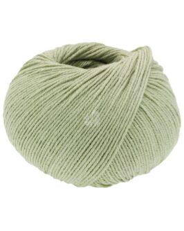 <span class="yarn-title">Elastico</span> <span class="yarn-color">183 Schilfgrün</span>