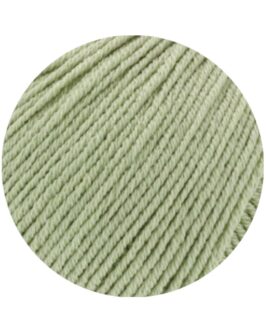 <span class="yarn-title">Elastico</span> <span class="yarn-color">183 Schilfgrün</span>