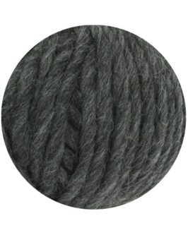 <span class="yarn-title">Feltro Uni</span> <span class="yarn-color">4 Dunkelgrau Meliert</span>