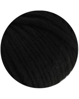 <span class="yarn-title">Feltro Uni</span> <span class="yarn-color">6 Schwarz</span>