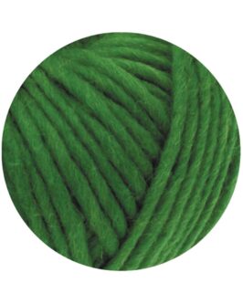 <span class="yarn-title">Feltro Uni</span> <span class="yarn-color">11 Grasgrün</span>