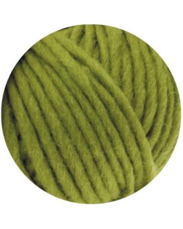 <span class="yarn-title">Feltro Uni</span> <span class="yarn-color">21 Oliv</span>
