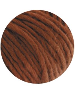 <span class="yarn-title">Feltro Uni</span> <span class="yarn-color">23 Braun</span>