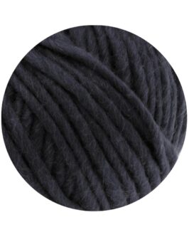 <span class="yarn-title">Feltro Uni</span> <span class="yarn-color">25 Anthrazit</span>
