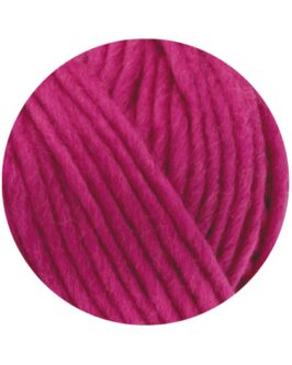 <span class="yarn-title">Feltro Uni</span> <span class="yarn-color">38 Pink</span>
