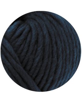 <span class="yarn-title">Feltro Uni</span> <span class="yarn-color">40 Petrolblau</span>