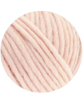 <span class="yarn-title">Feltro Uni</span> <span class="yarn-color">70 Puderrosa</span>