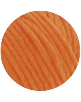 <span class="yarn-title">Feltro Uni</span> <span class="yarn-color">80 Mandarin</span>