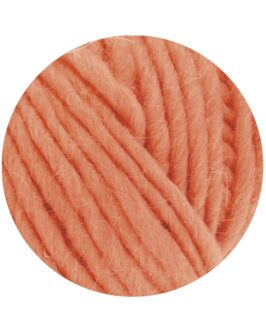 <span class="yarn-title">Feltro Uni</span> <span class="yarn-color">83 Lachs</span>