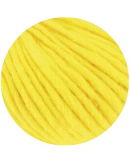 <span class="yarn-title">Feltro Uni</span> <span class="yarn-color">94 Kanariengelb</span>