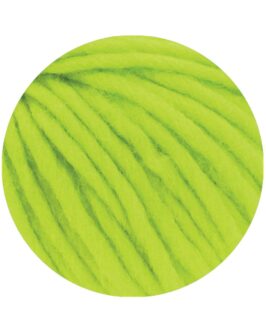 <span class="yarn-title">Feltro Uni</span> <span class="yarn-color">95 Leuchtendgrün</span>