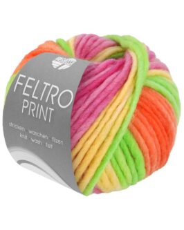 <span class="yarn-title">Feltro Print</span> <span class="yarn-color">1305 Gelbgrün/<wbr>Orange/<wbr>Pink/<wbr>Narzissengelb</span>