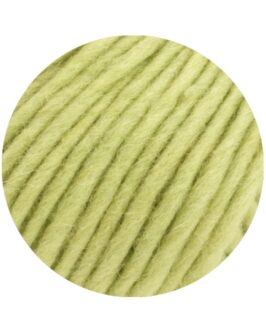 <span class="yarn-title">Feltro Uni</span> <span class="yarn-color">114 Frisches Gelbgrün</span>