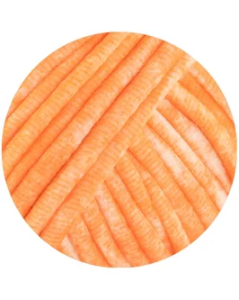 <span class="yarn-title">Gelato Vintage</span> <span class="yarn-color">102 Orange/<wbr>Weiß</span>