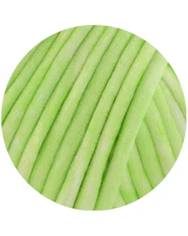 <span class="yarn-title">Gelato Vintage</span> <span class="yarn-color">107 Frühlingsgrün/<wbr>Weiß</span>