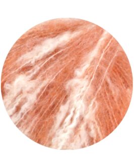<span class="yarn-title">lala Berlin Buffy</span> <span class="yarn-color">1 Lachs/<wbr>Rohweiß</span>