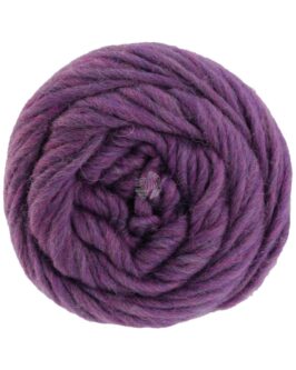 <span class="yarn-title">Landlust die Filzwolle</span> <span class="yarn-color">5001 Dunkelviolett Meliert</span>