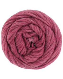 <span class="yarn-title">Landlust die Filzwolle</span> <span class="yarn-color">5003 Beere Meliert</span>