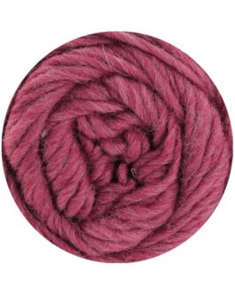 <span class="yarn-title">Landlust die Filzwolle</span> <span class="yarn-color">5003 Beere Meliert</span>