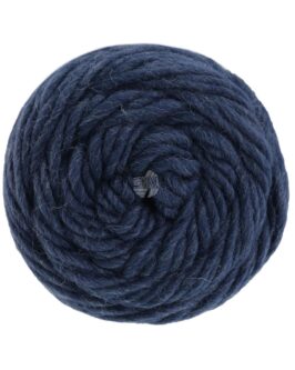<span class="yarn-title">Landlust die Filzwolle</span> <span class="yarn-color">5005 Nachtblau Meliert</span>