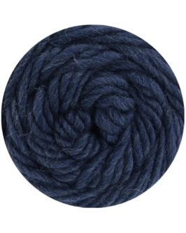 <span class="yarn-title">Landlust die Filzwolle</span> <span class="yarn-color">5005 Nachtblau Meliert</span>
