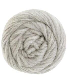 <span class="yarn-title">Landlust die Filzwolle</span> <span class="yarn-color">5007 Hellgrau Meliert</span>