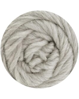 <span class="yarn-title">Landlust die Filzwolle</span> <span class="yarn-color">5007 Hellgrau Meliert</span>