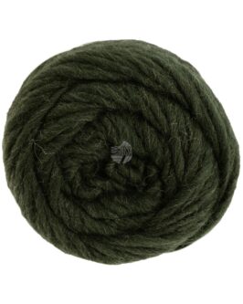 <span class="yarn-title">Landlust die Filzwolle</span> <span class="yarn-color">5010 Schwarzgrün Meliert</span>