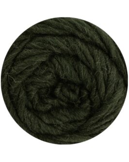 <span class="yarn-title">Landlust die Filzwolle</span> <span class="yarn-color">5010 Schwarzgrün Meliert</span>