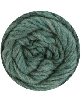 <span class="yarn-title">Landlust die Filzwolle</span> <span class="yarn-color">5011 Jadegrün Meliert</span>