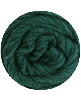 <span class="yarn-title">Landlust die Filzwolle</span> <span class="yarn-color">5012 Dunkelpetrol Meliert</span>